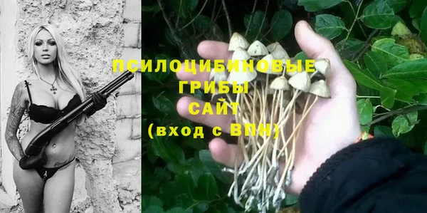 спайс Верхний Тагил